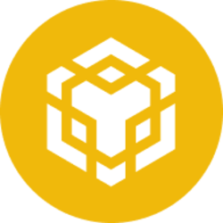Binance Coin Logo